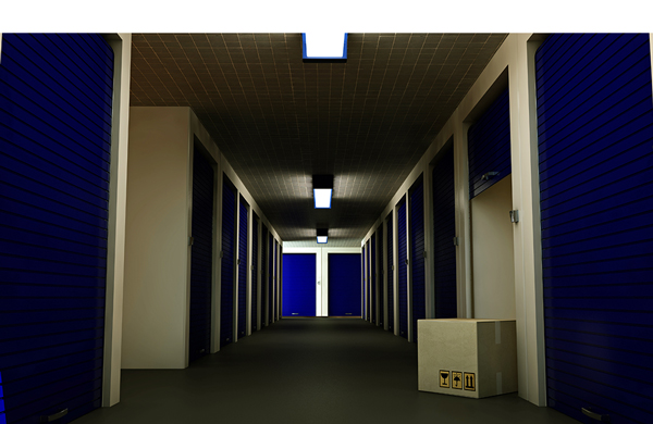 Vans 24/7 As Your Storage and Removal Firm?